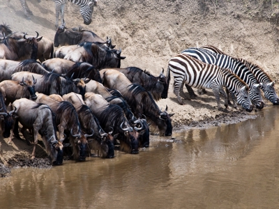 Route Kenia, Tanzania en Zanzibar, 18 dagen - Dag 3