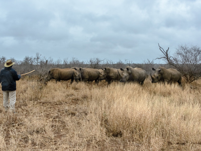 Route Johannesburg - Kaapstad, 24 dagen - Dag 5