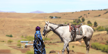 Lesotho 