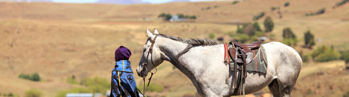Lesotho 