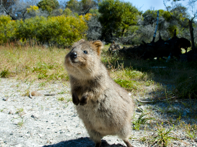 Route West Australië, 25 dagen - Day 3