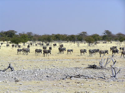 Route Namibië, 19 dagen - Dag 15