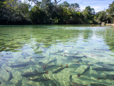 Route van Buenos Aires naar Rio - Day 7