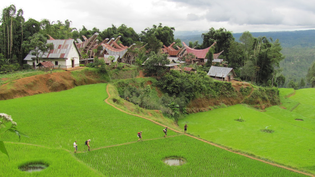 Trekking Toraja