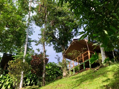Rio Tico Safari Lodge