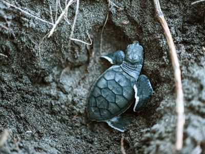 Route Costa Rica 2025 - Day 5