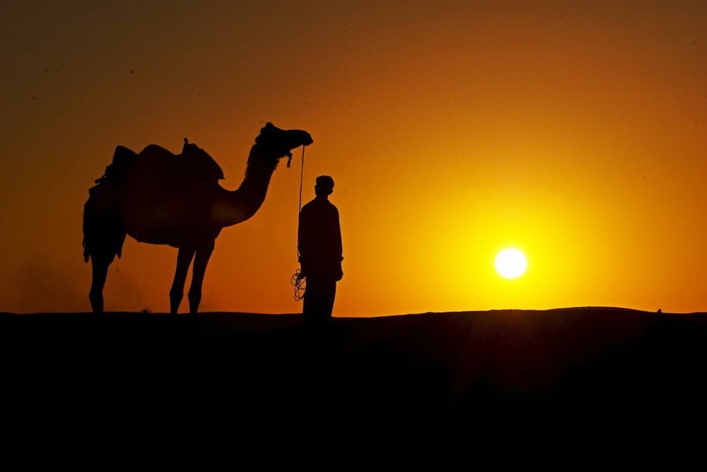 Silhouet van een kameel en begeleider bij zonsondergang tijdens een groepsrondreis door Noord-India en Nepal.