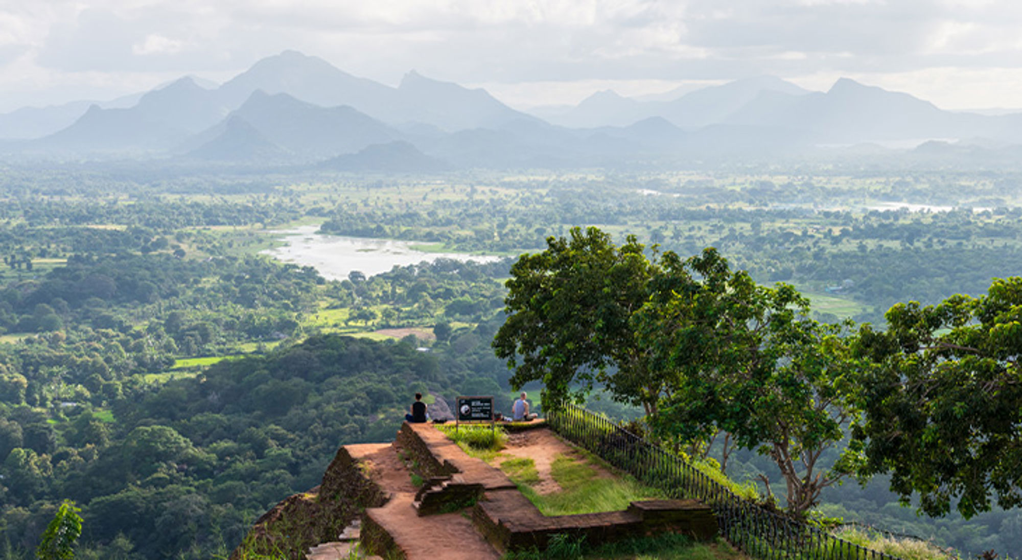 Leeuwenrots Sri Lanka