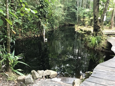 Route Suriname, 26 dagen - Dag 13