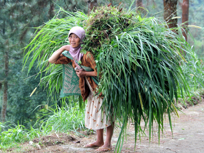 Route Java, Bali, Lombok & Gili Air, 22 dagen 2022 - Day 5