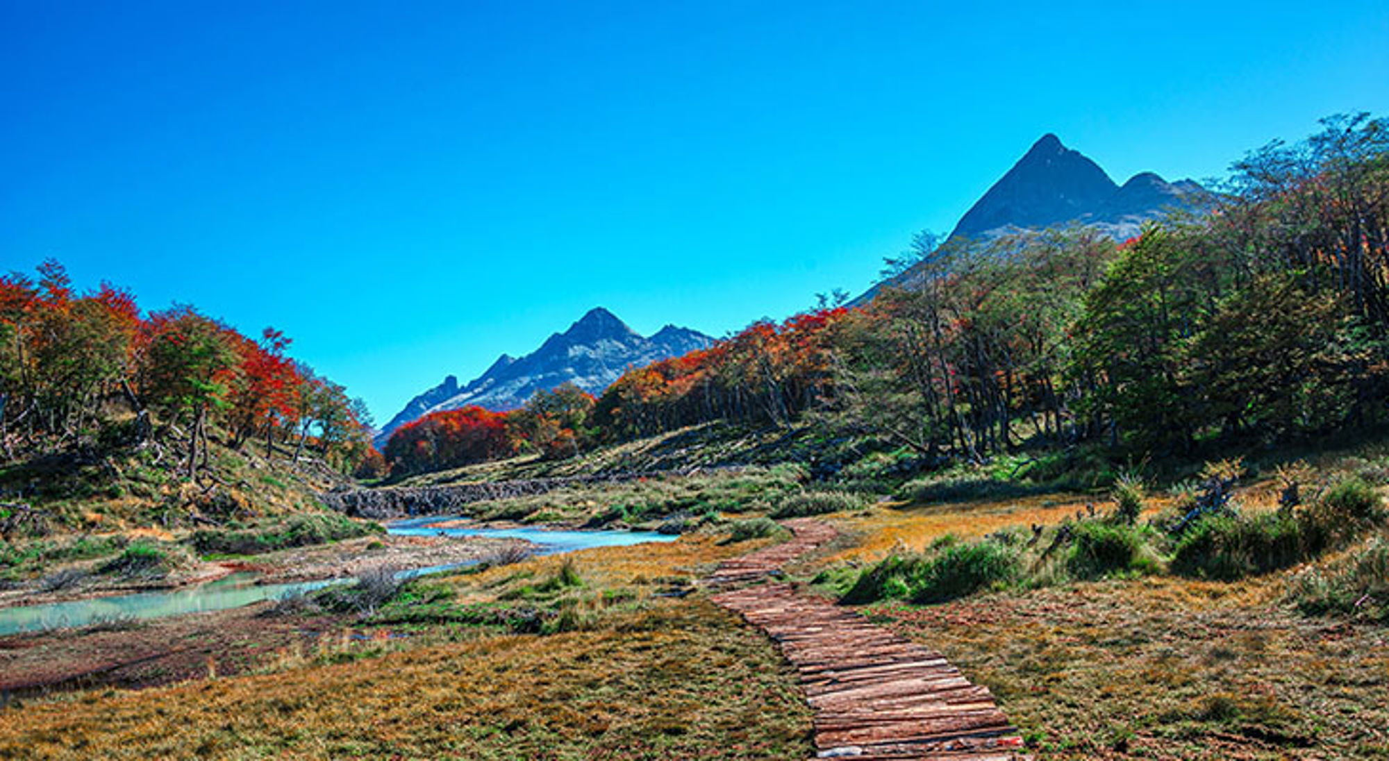 Wandelpad door Vuurland Wandelpad door Vuurland
