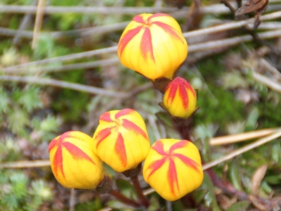 Route Ecuador en Galapagos, 22 dagen - Day 15