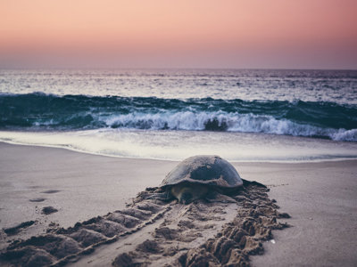 Route Oman en Dubai, 16 dagen - Dag 9