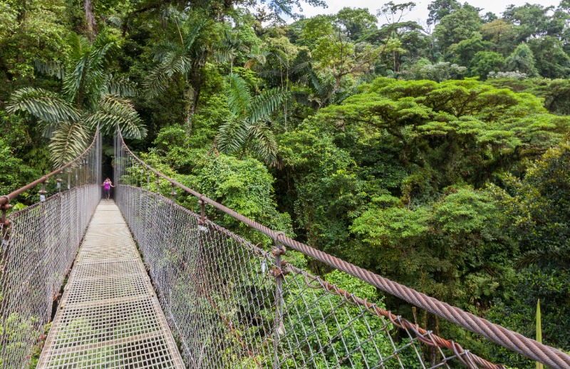Mistico Arenal Hanging Bridges Park Mistico Arenal Hanging Bridges Park