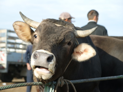 Route Kirgistan - Day 5