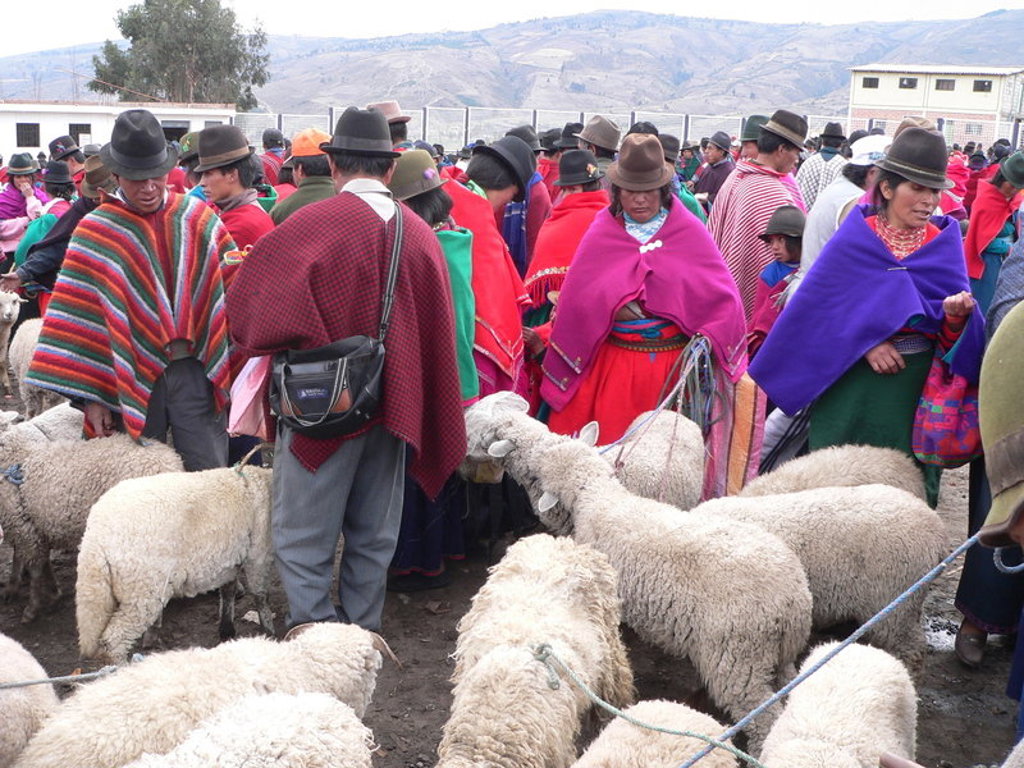 main_J.Taal_3_iedereen_schitterend_uitgedost_op_de_veemarkt_van_Guamote.jfif