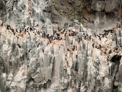 Zeilreis met de Antigua 2020 - Dag 5