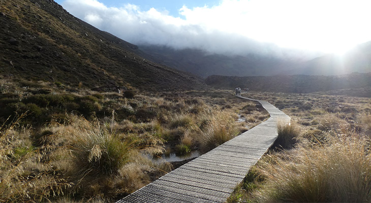 Soda Springs Soda Springs