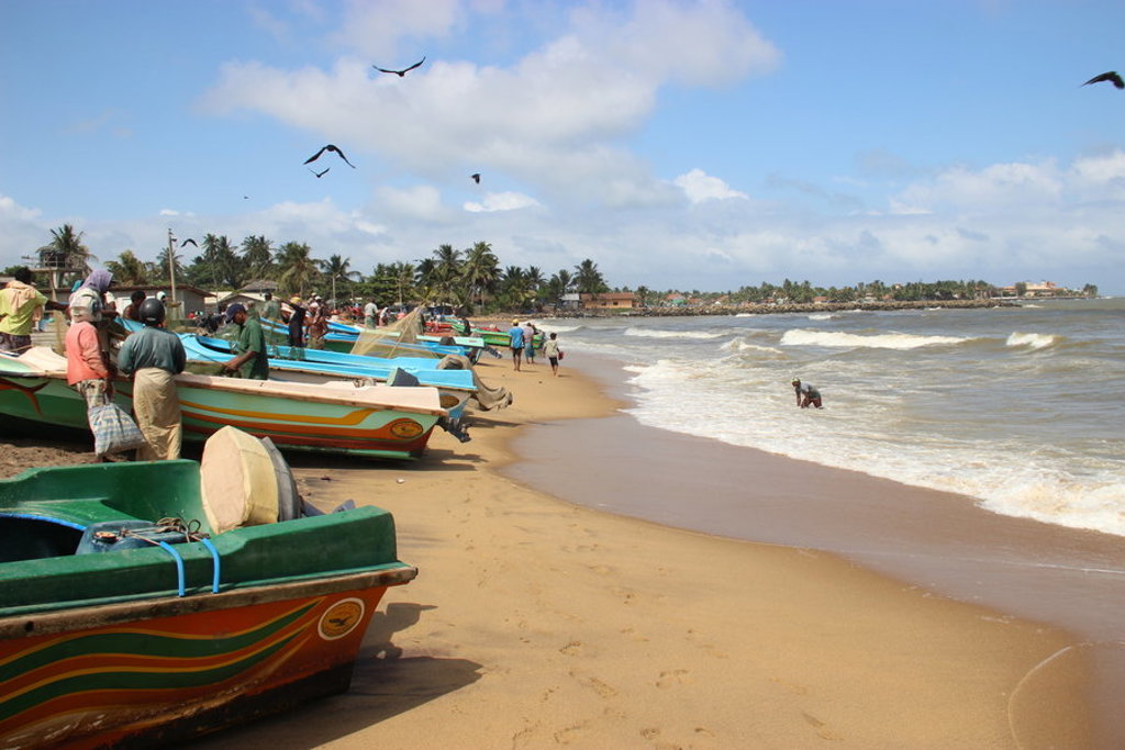 main_Sri_Lanka_-_Negombo_bootjes.jpg