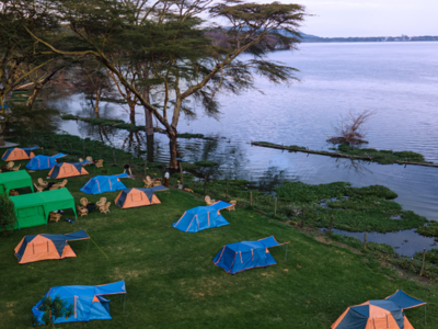 Oloiden Flamingo Campsite Naivasha Kenia