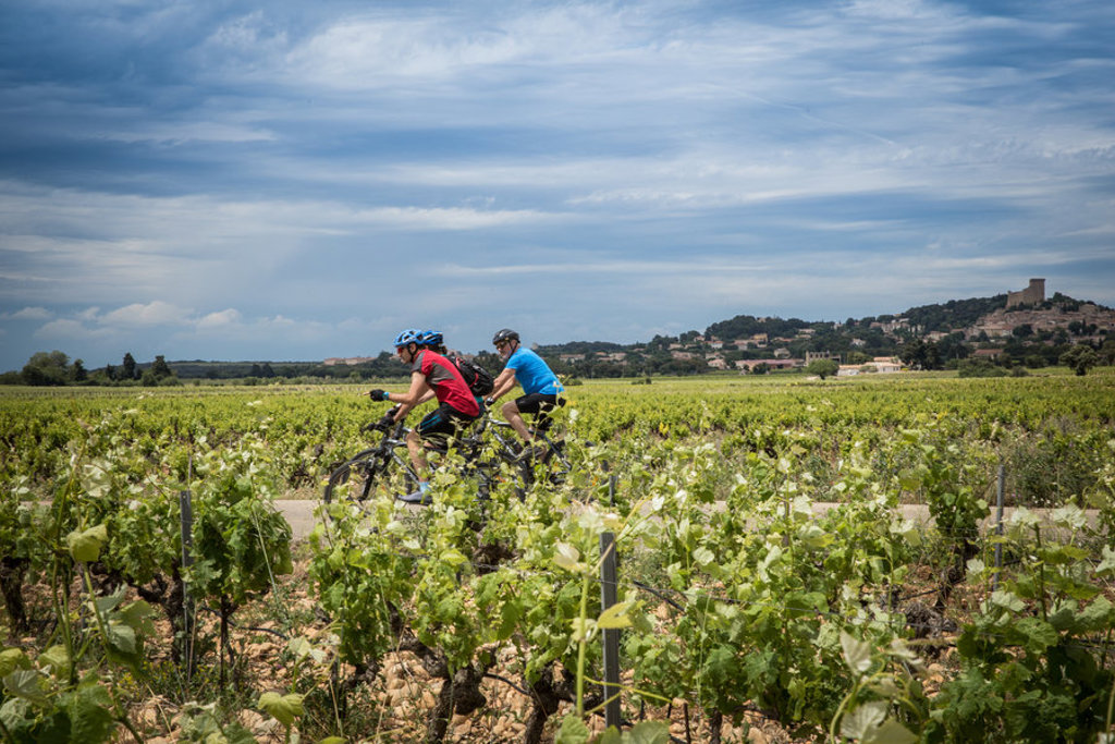main_Intrepid-Travel-france_chateauneuf-du-pape-cycling-6454.jpg
