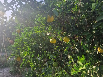 Wandelreis Cyprus - Day 8