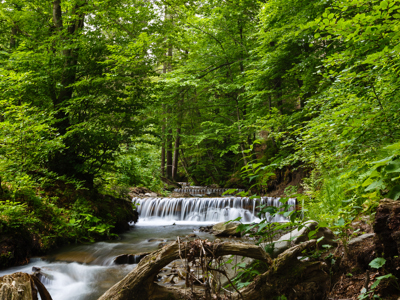 Vertrek 21 november 2020 - Day 9