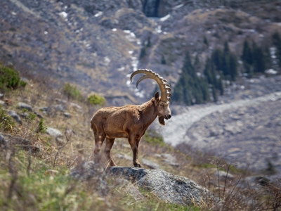 Route Korte Zijderoute - Dag 14