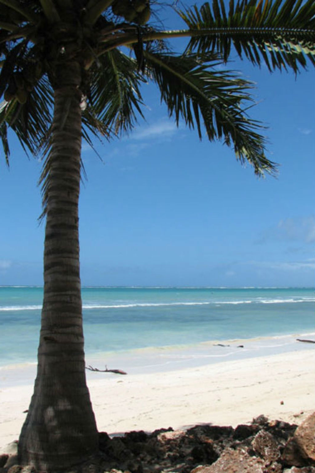 familiereis Kenia zee