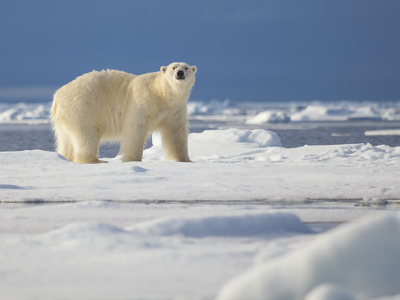 Route vier Arctische eilanden - Dag 3