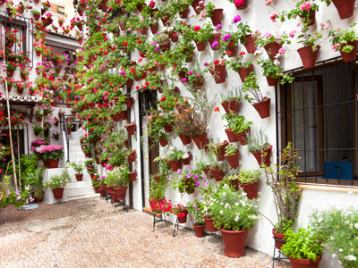 Andalusië Familiereis, 9 dagen 2016 - Day 9