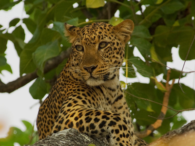 Route Zambia, Malawi en Tanzania, 24 dagen - Dag 5