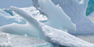 Groepsrondreis Antarctica - Crossing the Circle - Zuidelijke expeditie