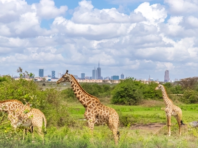 Kenia, Tanzania en Zanzibar, 22 dagen - Dag 2