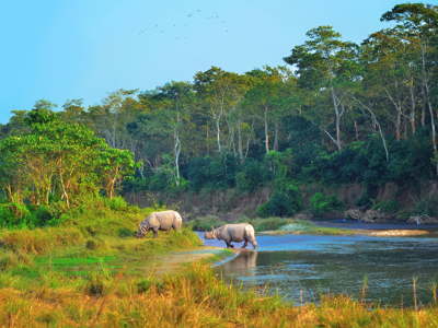 Chitwan National Park