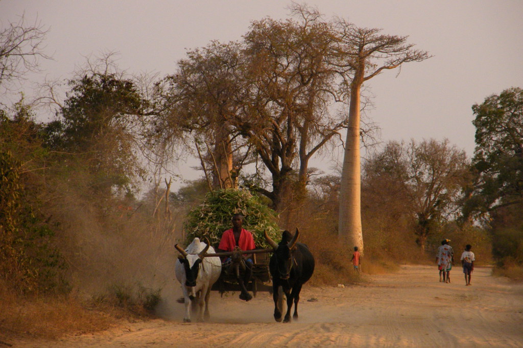 Madagaskar-Meike Klasing (481).jpg