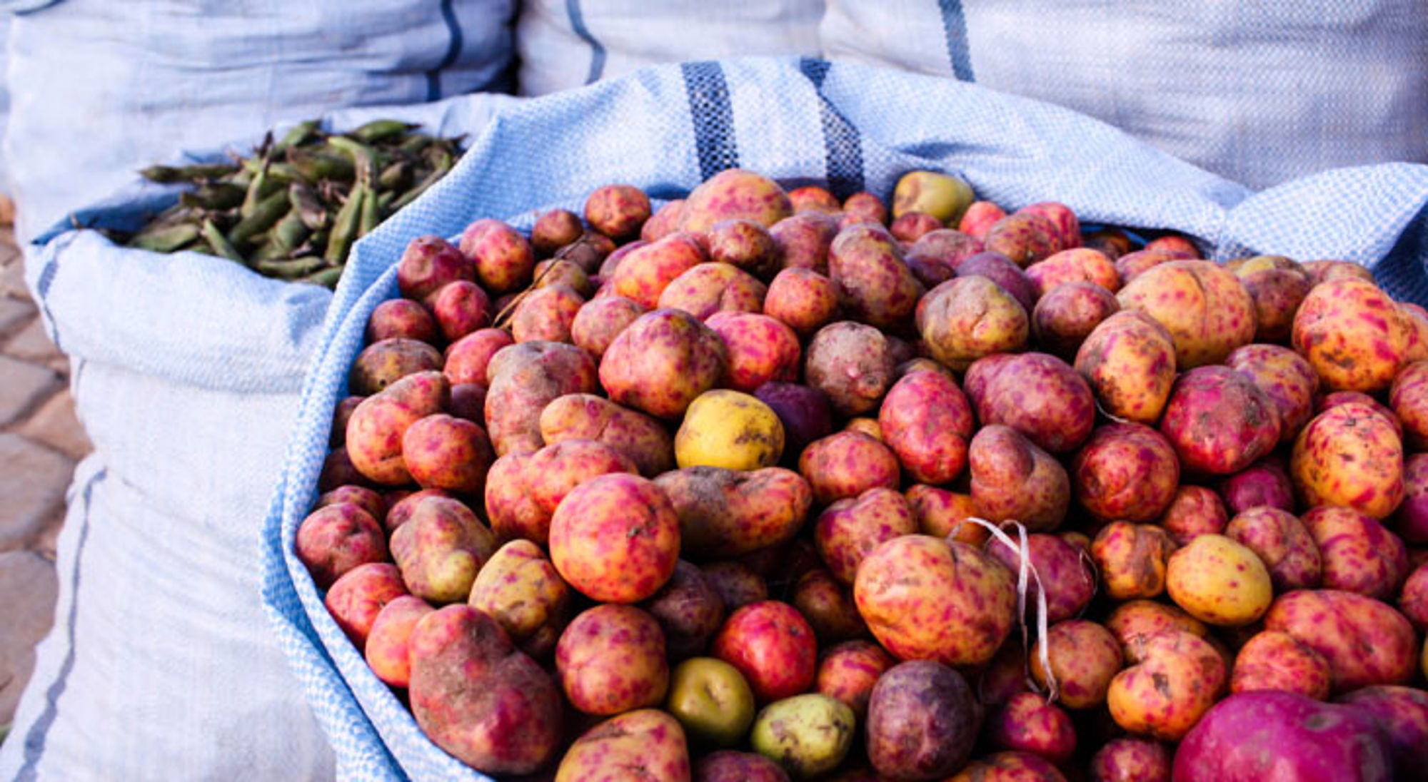 Eten Sucre Eten Sucre