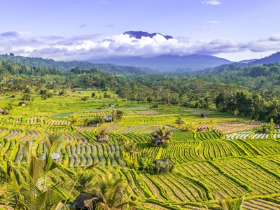 22-35 Indonesië: Java en Bali - Day 13