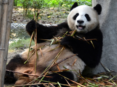 Route China, 17 dagen - Day 9