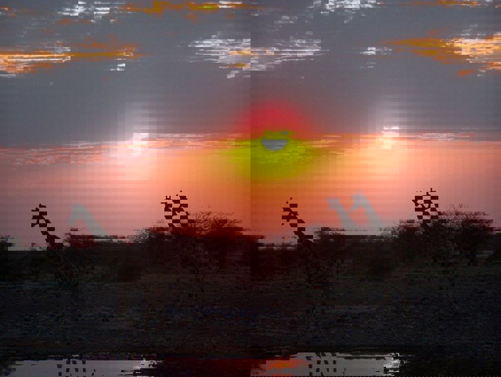 main_100_4958_-_kopie-Annegien_Schoonis.jfif