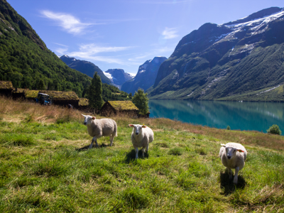 Route Noorwegen, 12 dagen - Dag 3