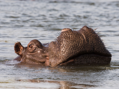 Route Windhoek - Vic Falls - Day 18