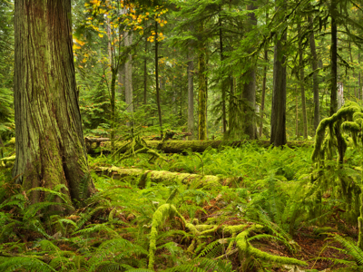 Route Canada Hotelreis, 15 dagen, 2025 - Day 8