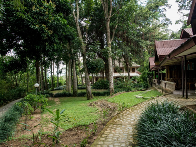 Eco Lodge Bukit Lawang