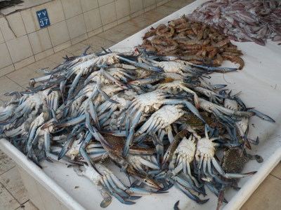 route Oman en Dubai, 11 dagen - Dag 2