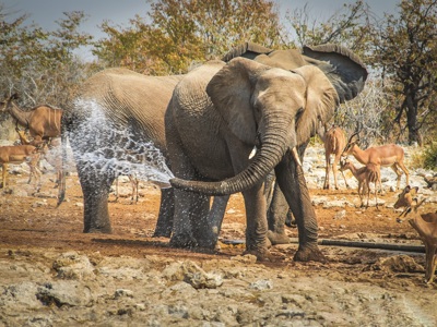 Route Namibië, 20 dagen - Dag 14