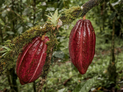 Route Nicaragua, 23 dagen - Dag 5