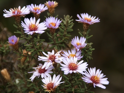 Route Ecuador en Galapagos, 21 dagen - Day 15