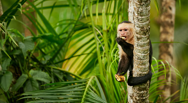 Voer wilde dieren niet