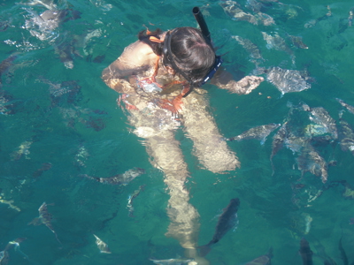 Route van Buenos Aires naar Rio - Day 18